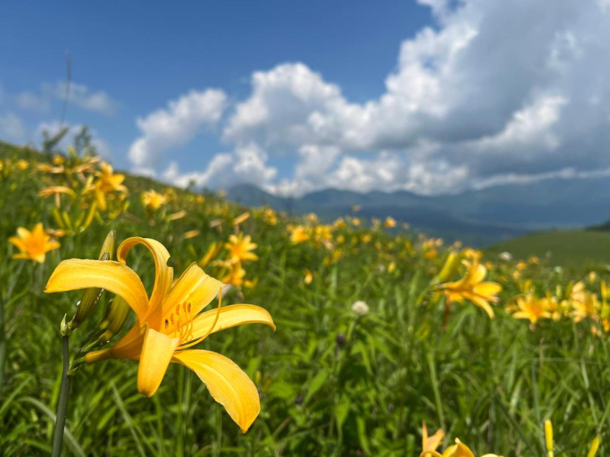 Pension Wildflowers Tateshina  Buitenkant foto
