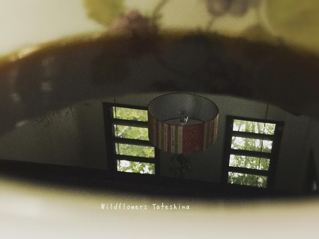 Pension Wildflowers Tateshina  Buitenkant foto