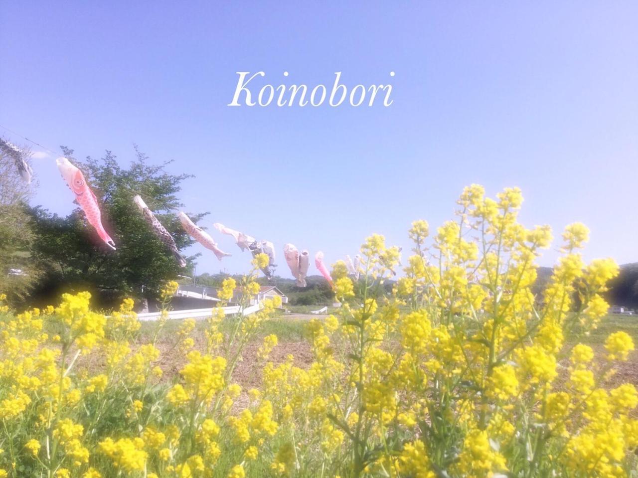 Pension Wildflowers Tateshina  Buitenkant foto