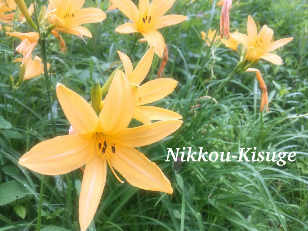 Pension Wildflowers Tateshina  Buitenkant foto