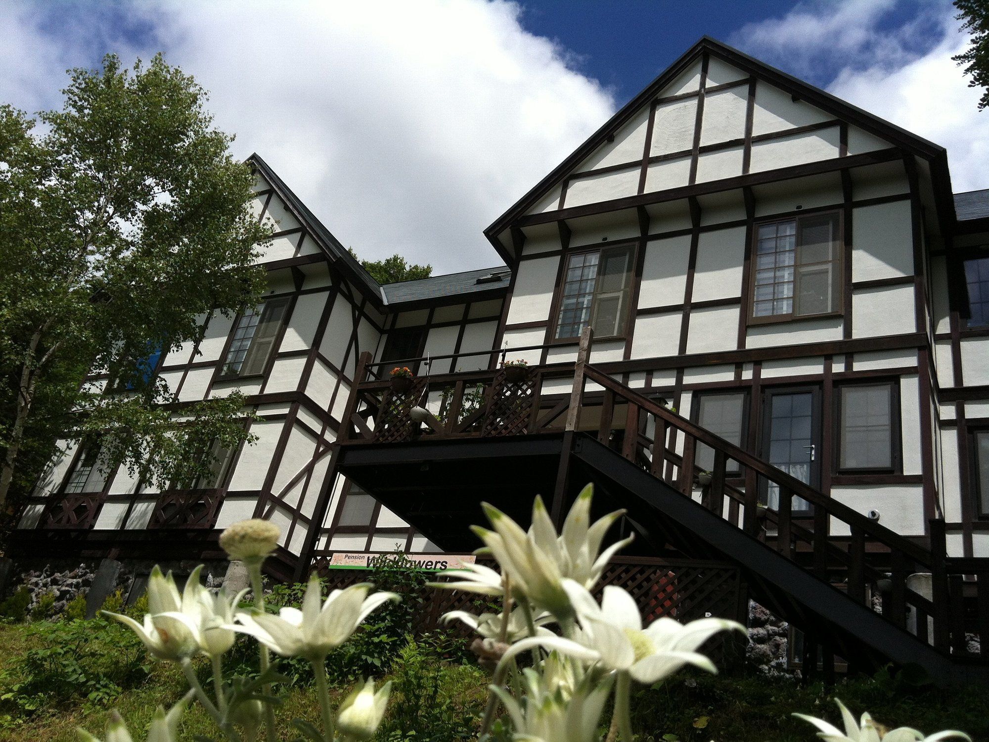 Pension Wildflowers Tateshina  Buitenkant foto