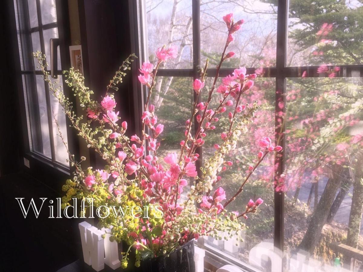 Pension Wildflowers Tateshina  Buitenkant foto