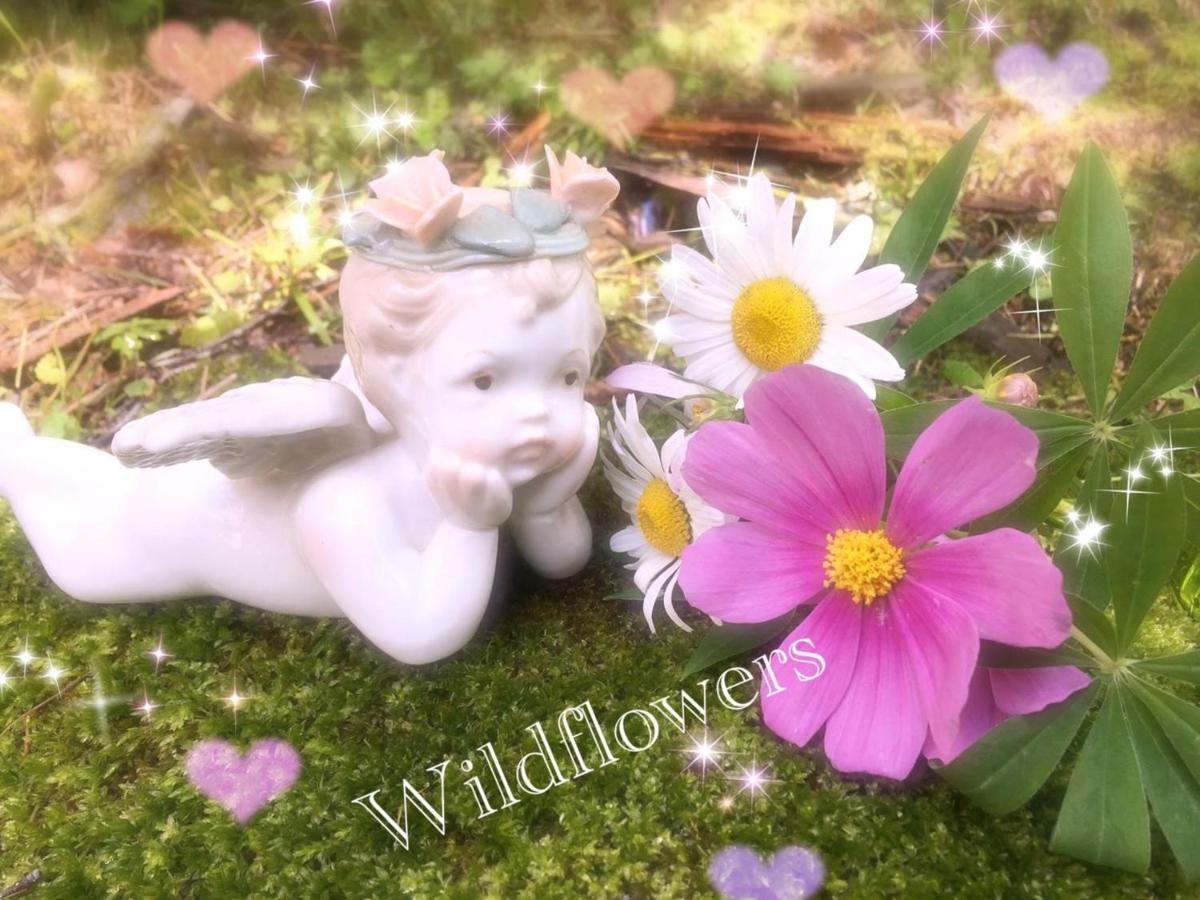 Pension Wildflowers Tateshina  Buitenkant foto